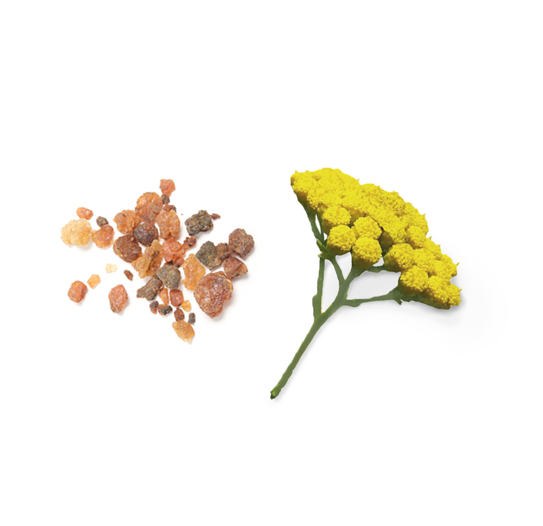 doTERRA Balance What's Inside