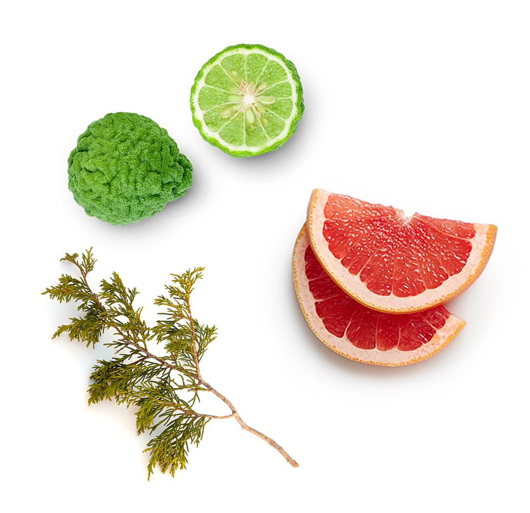 herbs and citrus fruits