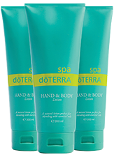 Hand & Body Lotion (3 Pack)