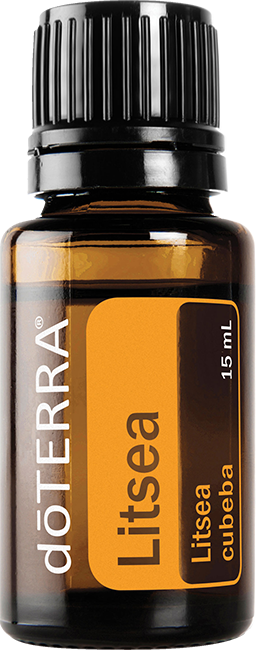 Litsea Oil