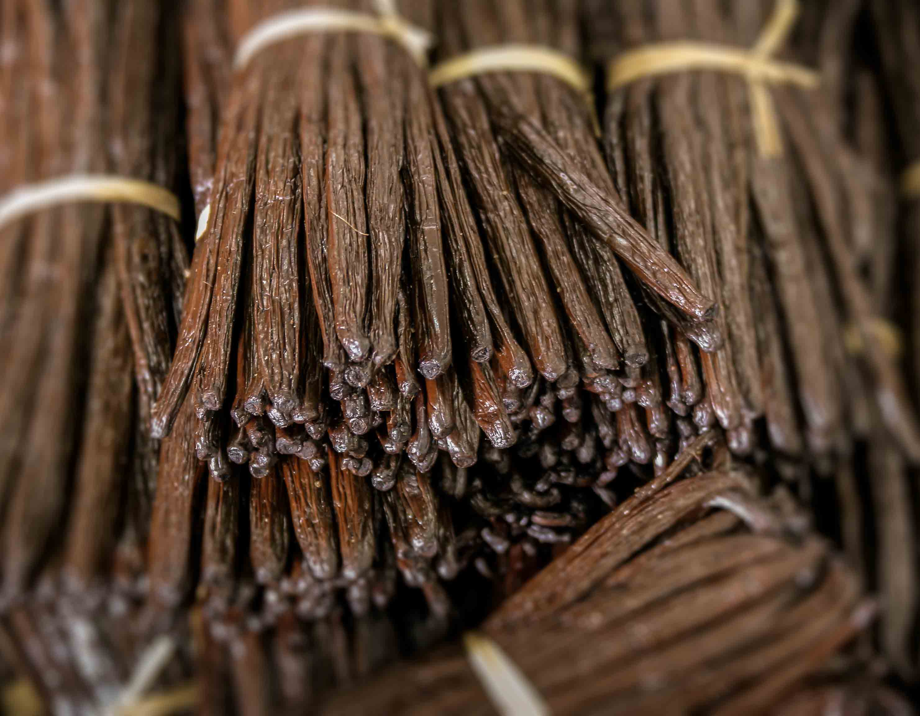 <!-- product_uses_image_alt -->