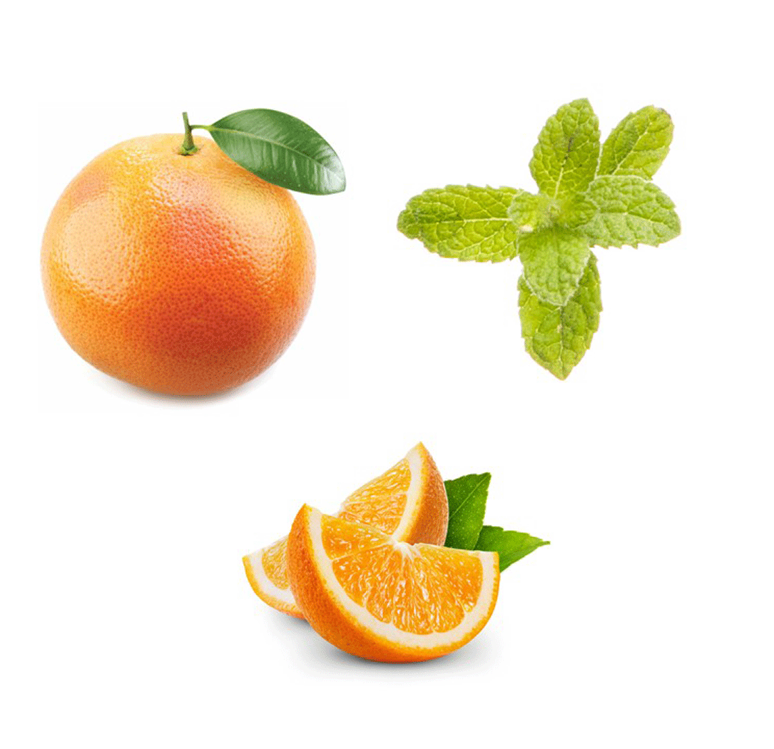 doTERRA Sunny Citrus Ingredients