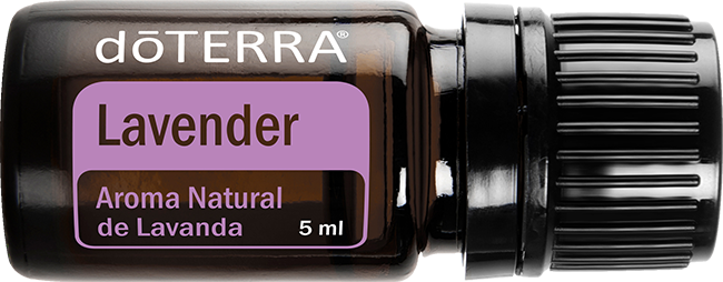 Lavender Natural Aroma 5 ml