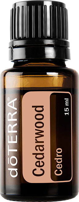 Cedarwood Essential Oil 15 ml