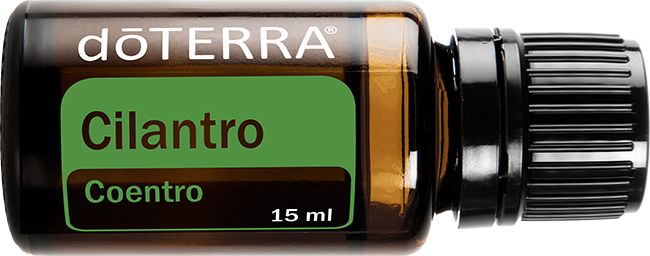 Cilantro Essential Oil 15 ml